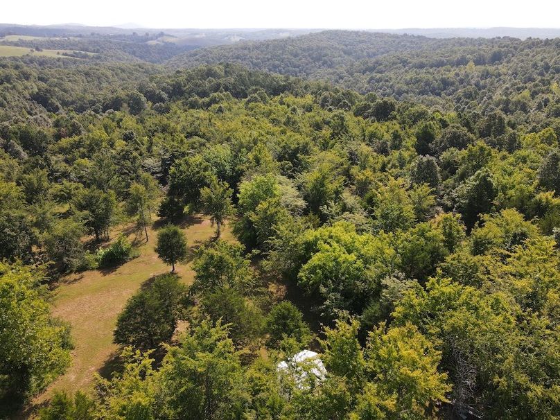 dji_fly_20240808_095720_314_1723129051302_photo