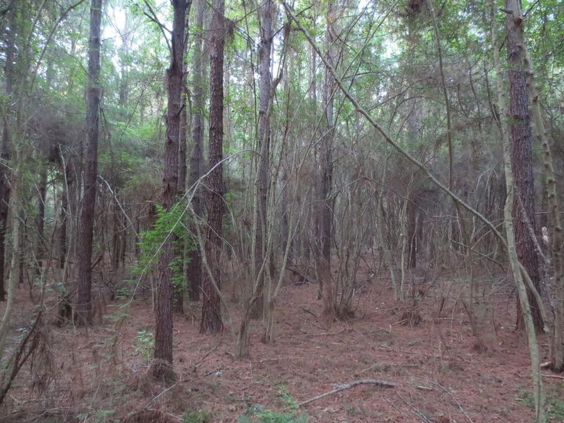 DF52FDEE-77A7-456F-B96A-750573D55DF7_1_105_c