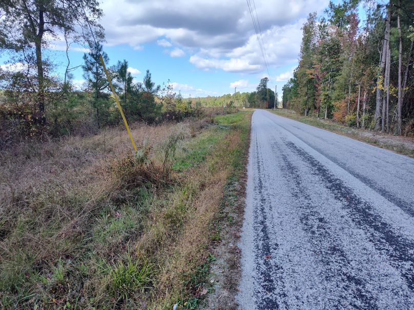 IMG_20231022_133505450_HDR