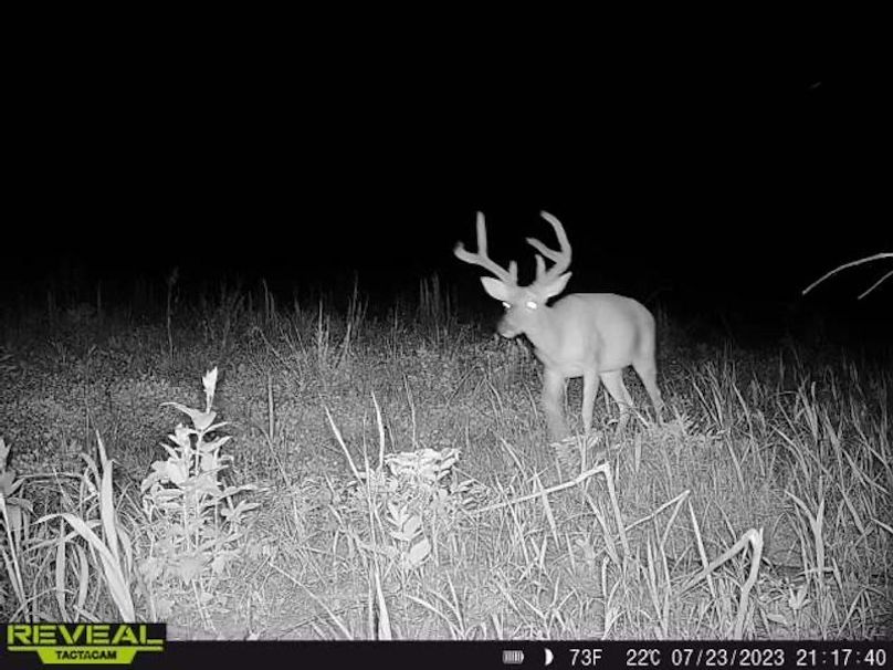 862515041600028-100-5-07232023211740-W1003107