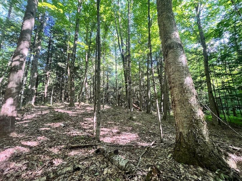 Jefferson_260.3_ Lobach_Photos_36