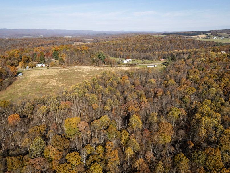 3-DJI_20251101090107_0003_D