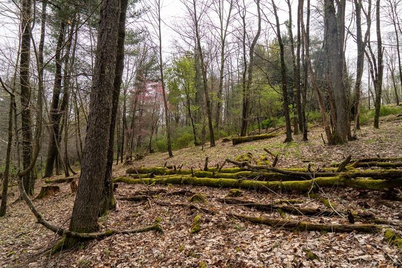 Clarion River-72