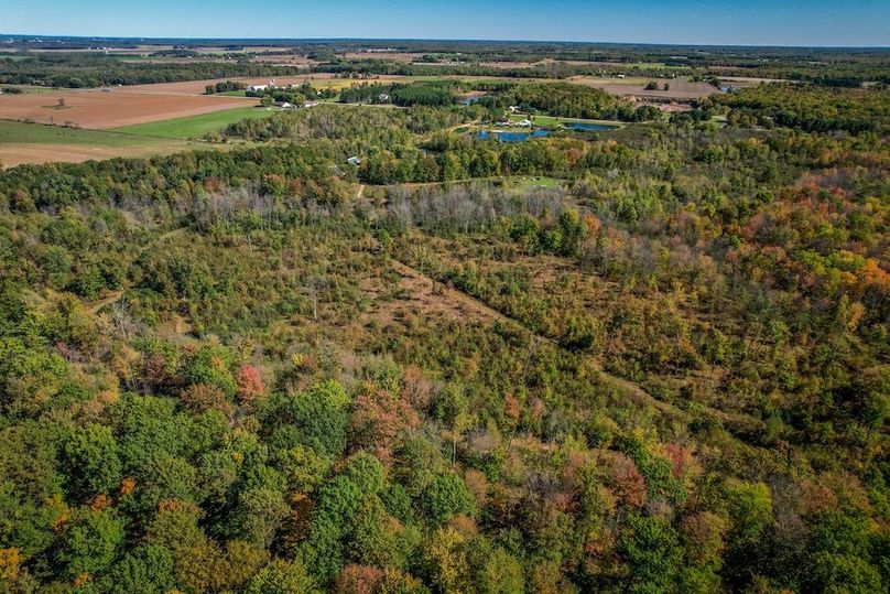 Wood 41.451, Collins -50