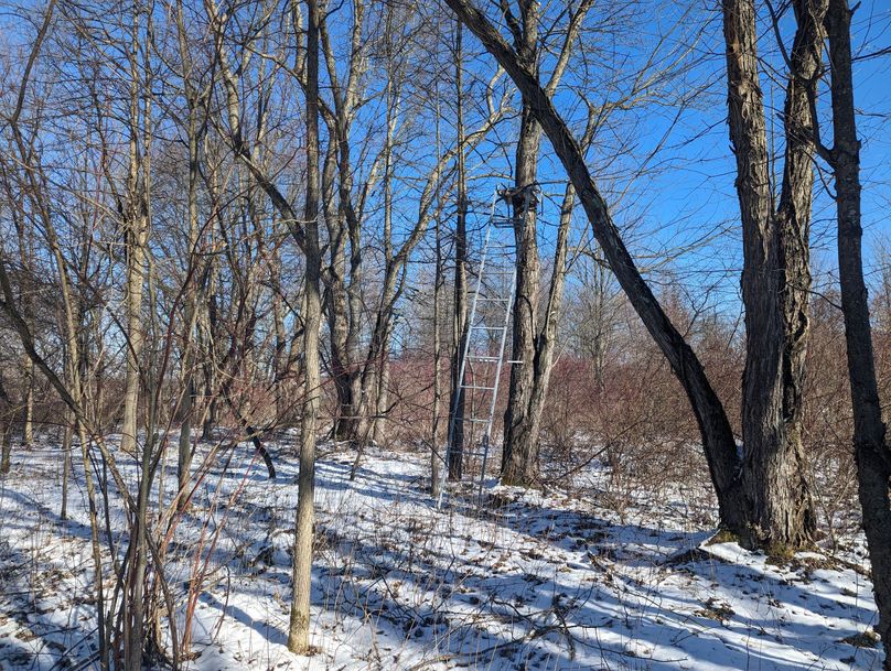 PXL_20230202_161901185