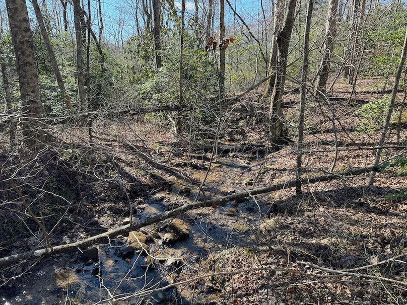 Cherokee 118.85 Harris Top-23