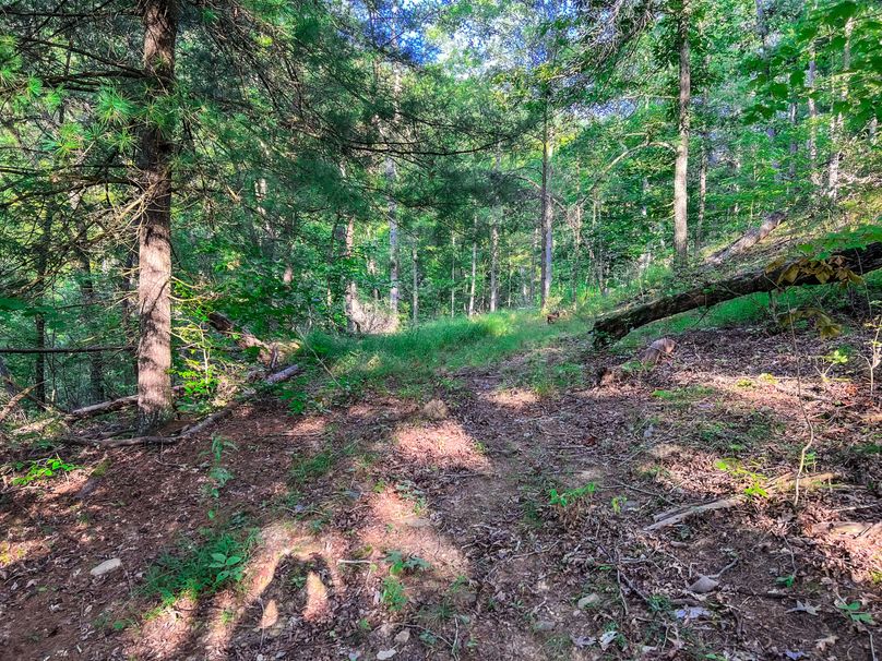 Calhoun, WV 101.8 AC Holly -30