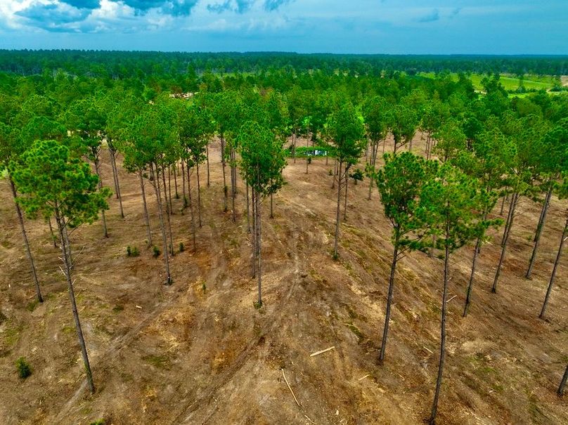 D45F291B-D29C-416D-B907-38780F05436D_1_105_c