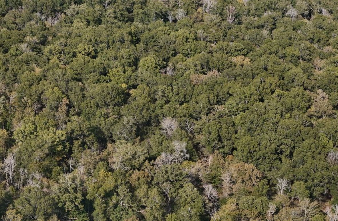 DJI_20250930052926_0764_D