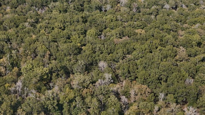 DJI_20250930052926_0764_D