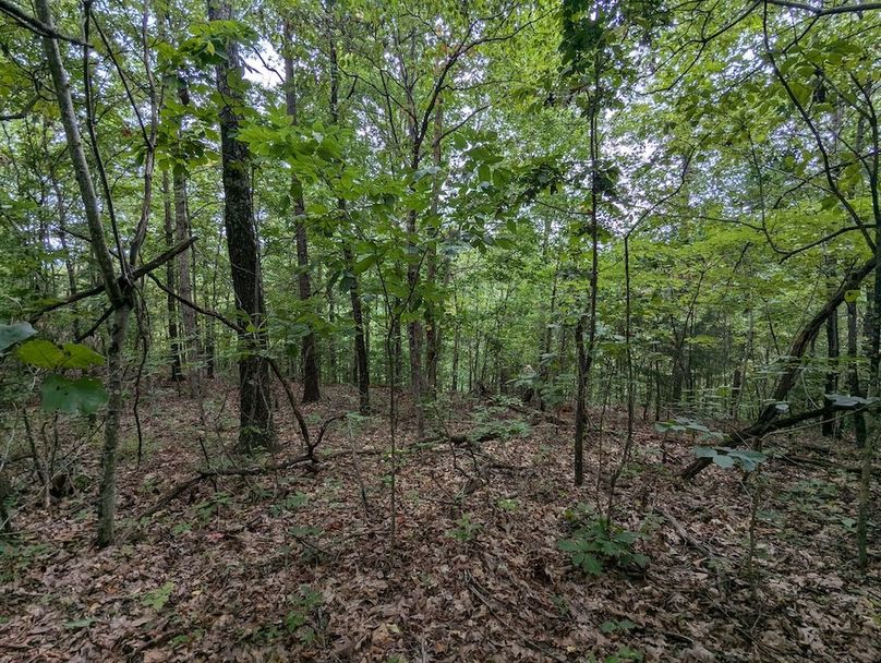 PXL_20240819_151339690