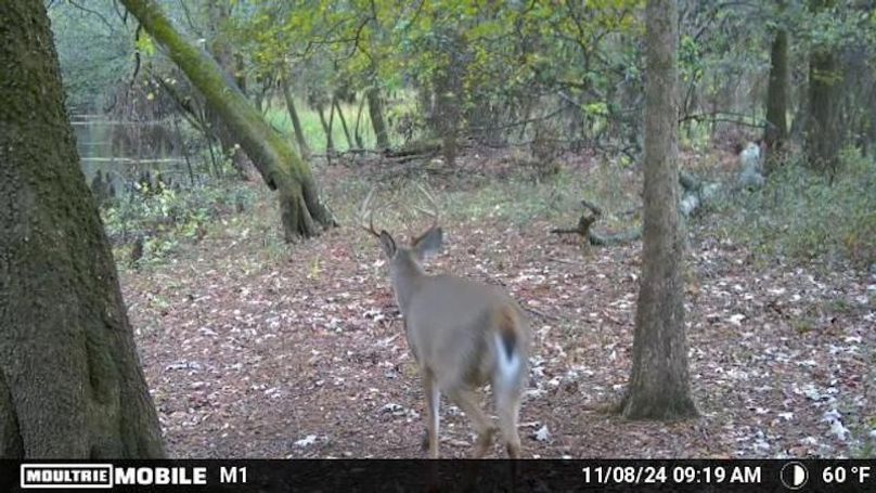 1688612-20241108152140-100MFCAM_MFDC0082