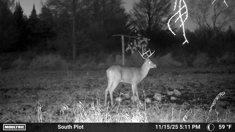 Temp_1082385-20251115231143-100MFCAM_MFDC3551