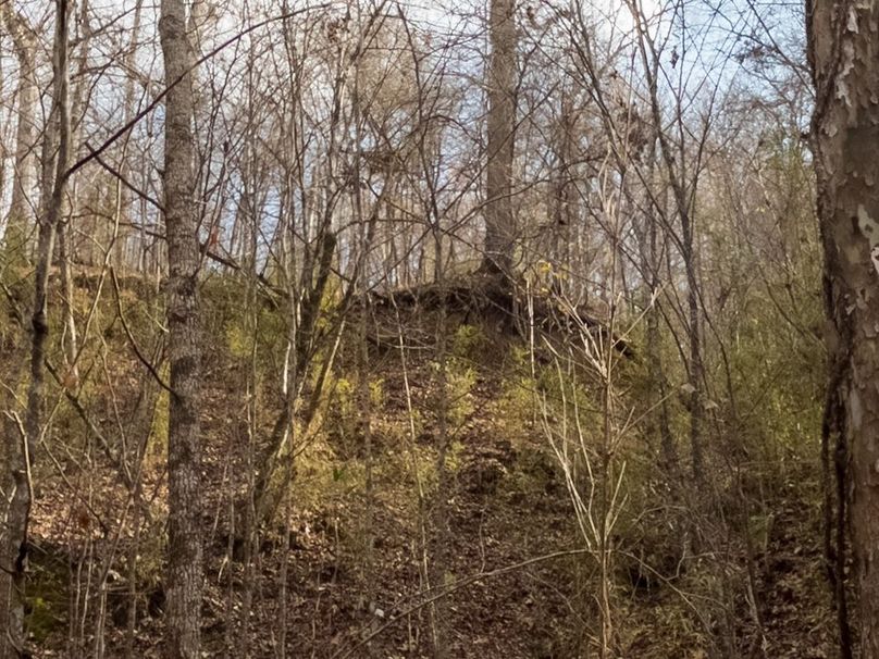 Yazoo Co - 75 - Batton-33