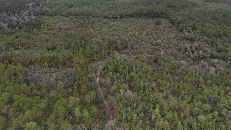 DJI_20231117115339_0018_D