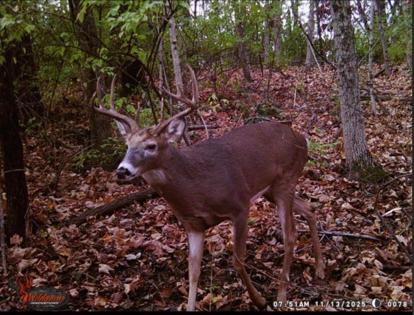 Screenshot 2025-12-21 at 7.25.57 PM