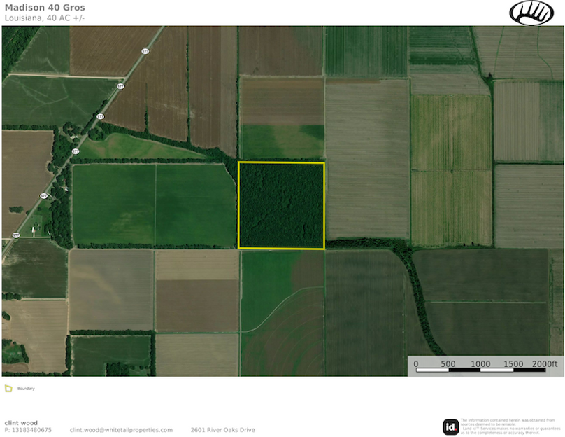 Madison 40 Gros   Out