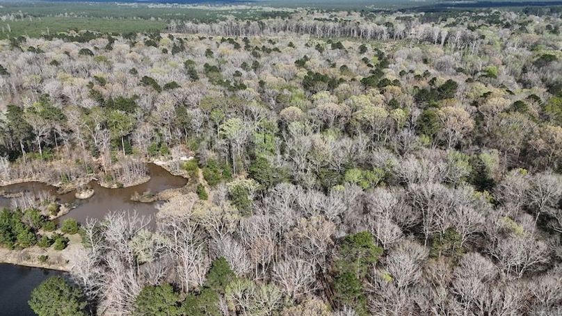 dji_fly_20260305_050356_0086_1772672663865_photo