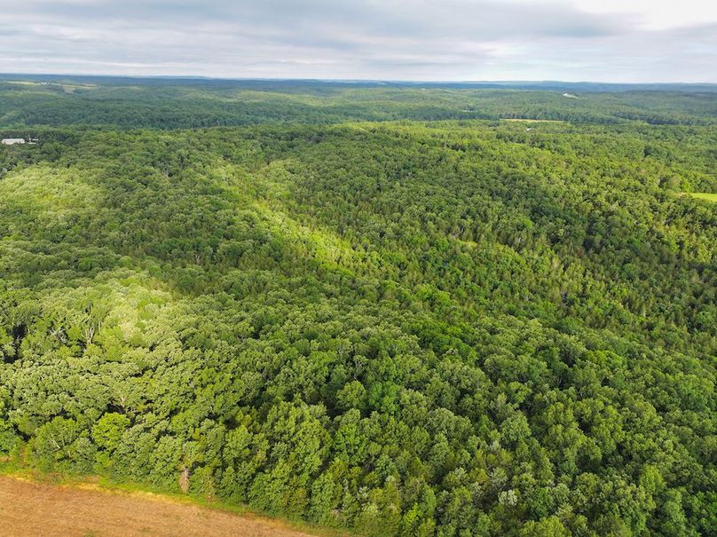 DJI_20260602075339_0236_D