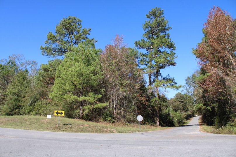 F4FAF02B-8B4D-4B57-8648-8507BE1239FF_1_105_c