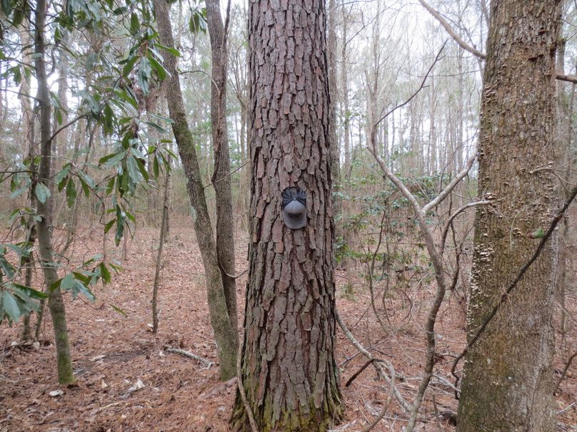 AF2CF55A-FD40-48DD-9492-A7A7F422AA1F