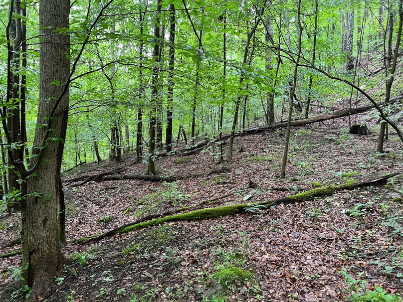 Wirt, WV 150.75 AC Tinnell-31