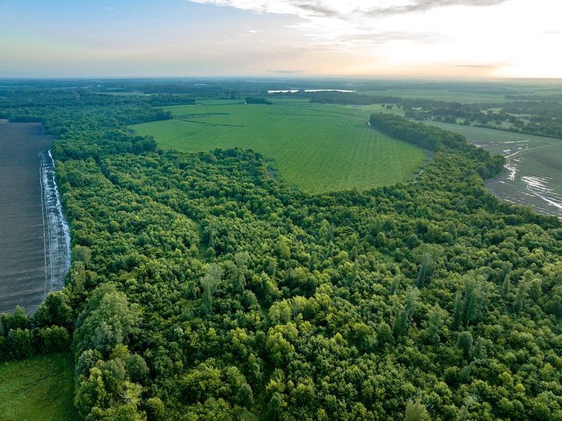 Copy of Noxubee 112.1 +- Tract 1-20