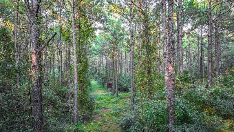 DJI_20250918181406_0202_D