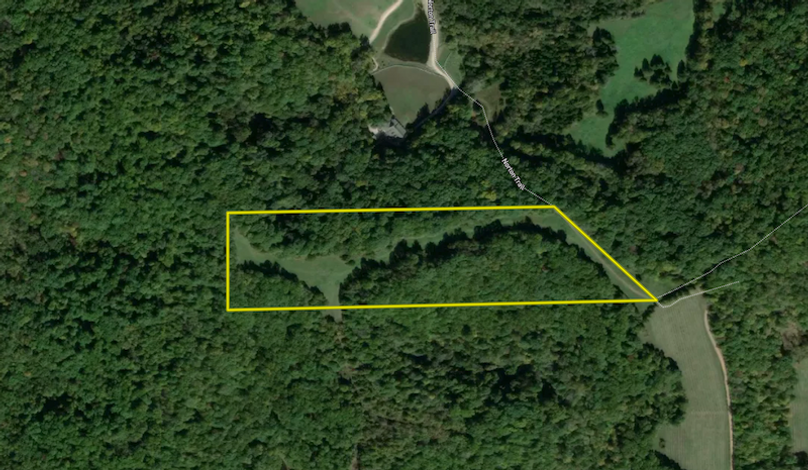 Screenshot 2024-03-19 at 2.41.08 PM