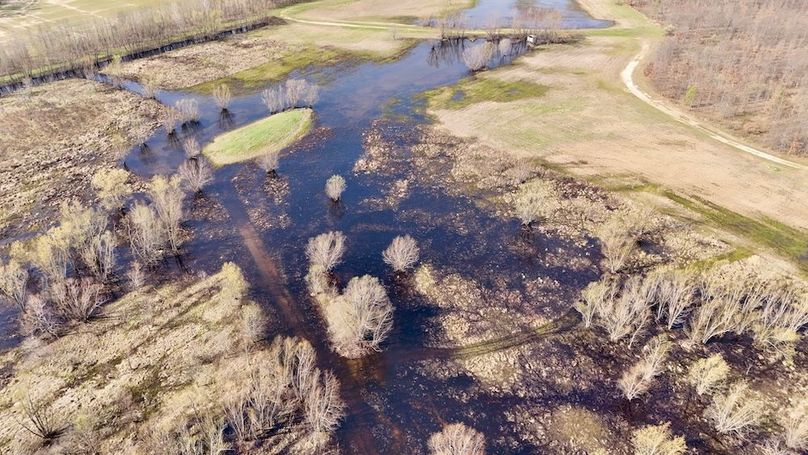 dji_fly_20260325_111138_0716_1774471936136_photo