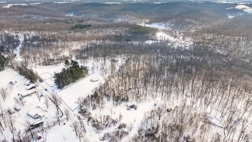 05-z 18408 Brushy003-2