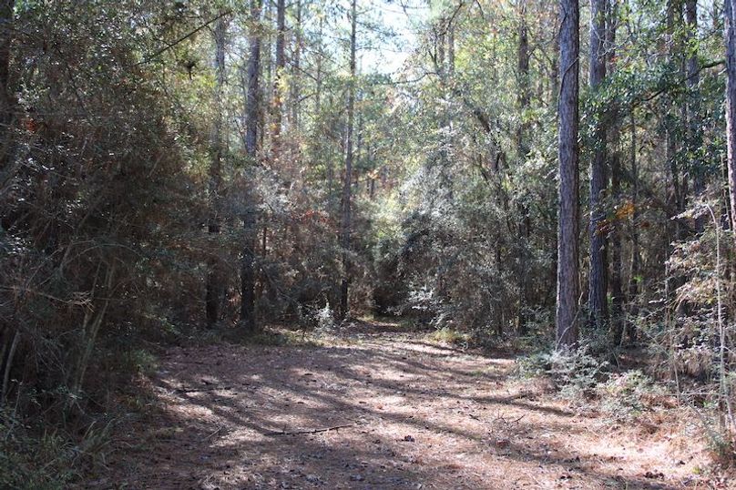 3913566A-28A7-471F-89D7-4B9D0D560B4D