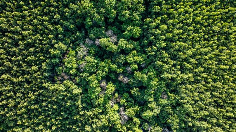 DJI_20250620054556_0007_D