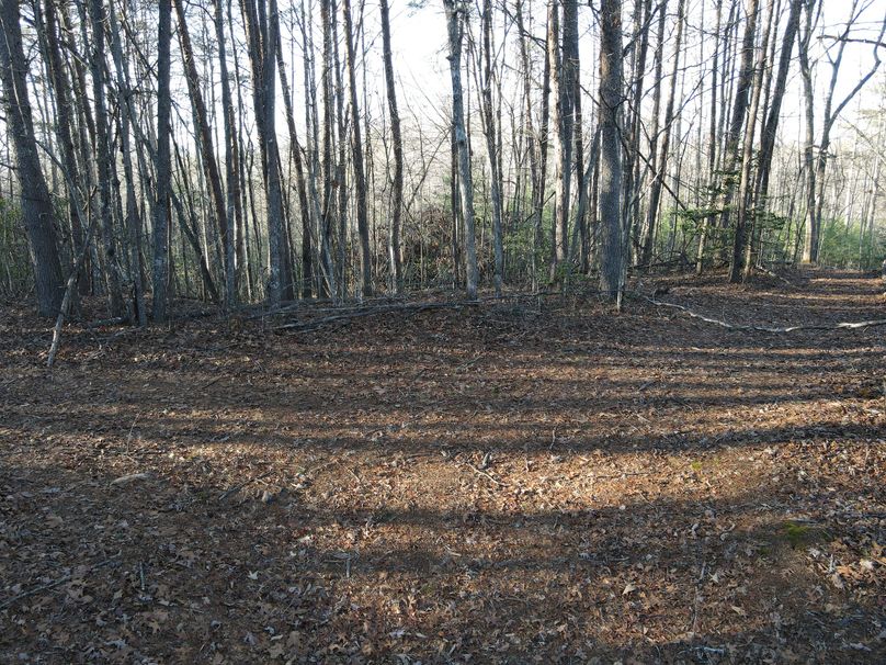 Cherokee 69.74 Stiles-05