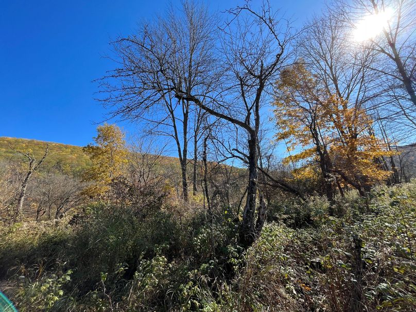 Schuyler_25.155_Ennis_Photos_23