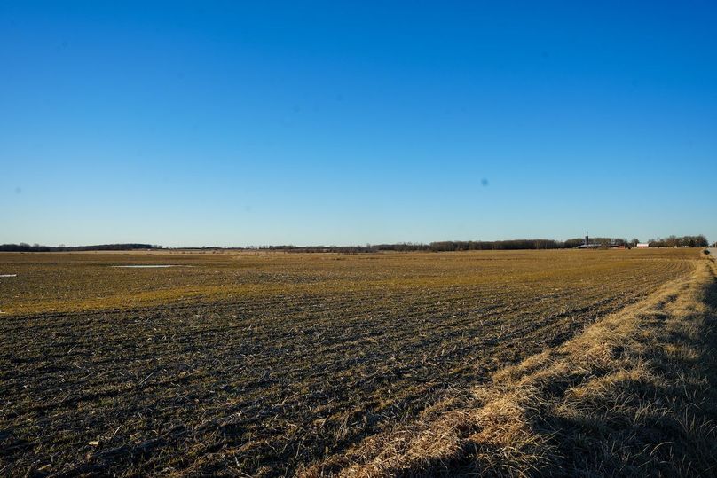 DSC02457bluestem