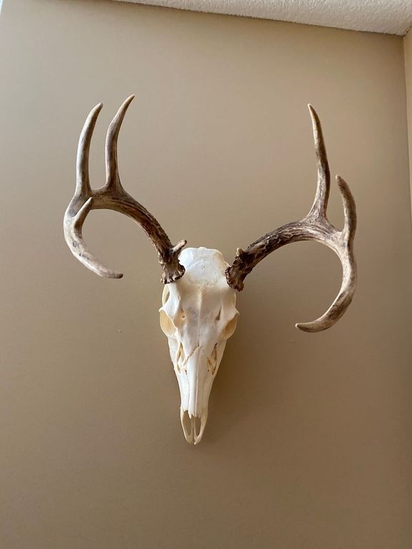 68909866003__D0DAAAE4-FECE-4539-A733-42C3CD7A9690