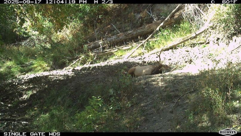 9754BF44-54D0-41A6-83A4-9D96F286397D