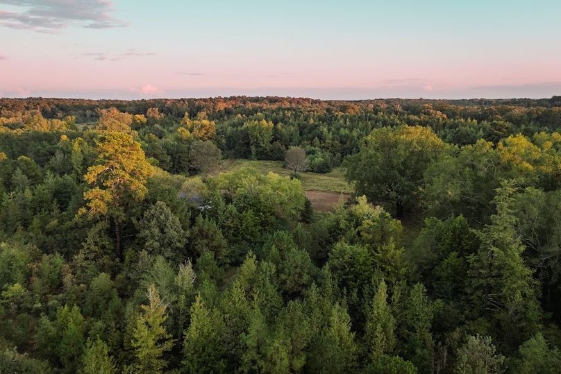 50 DJI_20251007184510_0465_D