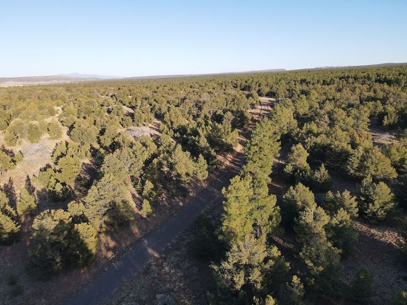 55_Pratt Landscapes 12