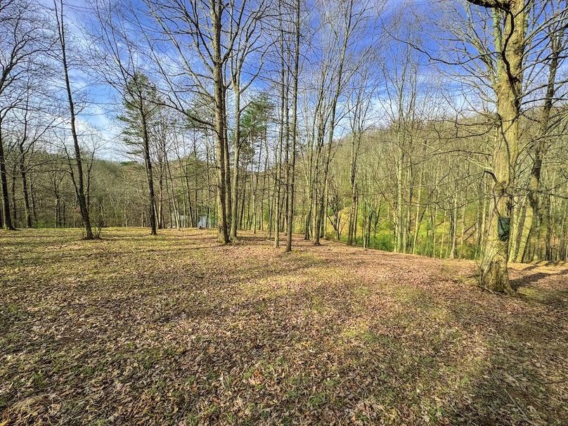 Ritchie, WV 206.08 AC Curriden-24