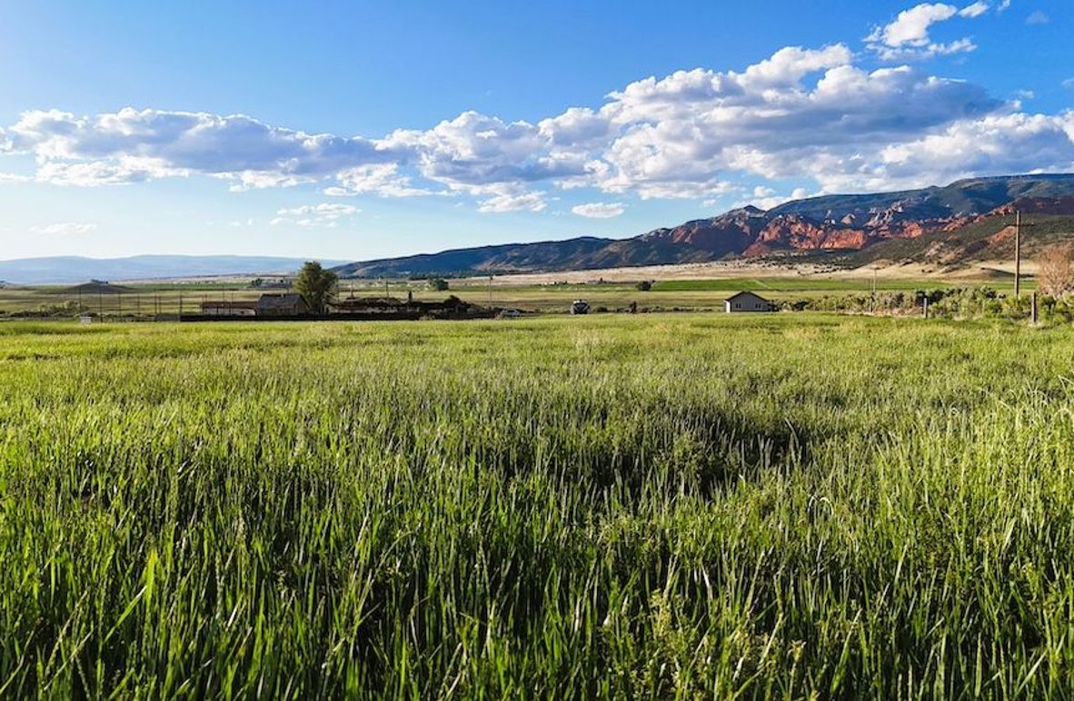 DJI_20240628195350_0009_D