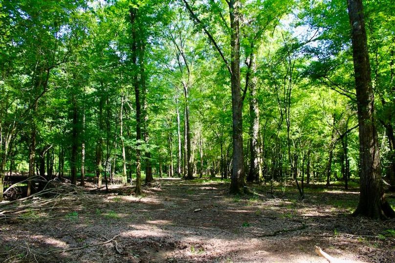 33C811F5-788D-401F-8576-E5CF5FFF00B7_1_201_a