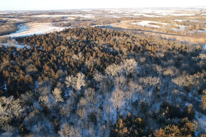 DJI_0489