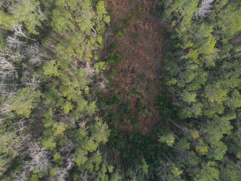 DJI_20240227083047_0024_craven60