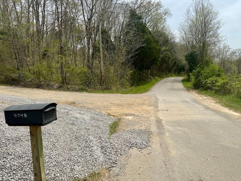 Multiple Build Sites For Home Near Hoosier National Forest Whitetail