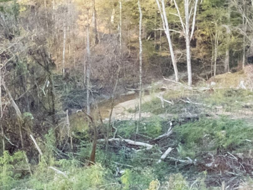 Claiborne Co-189-Geronimo-41