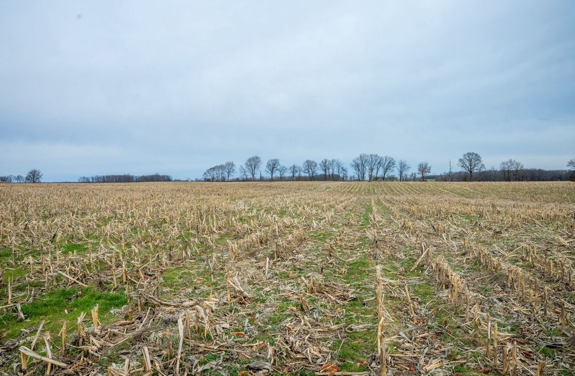 Copy of DSC00737 Large