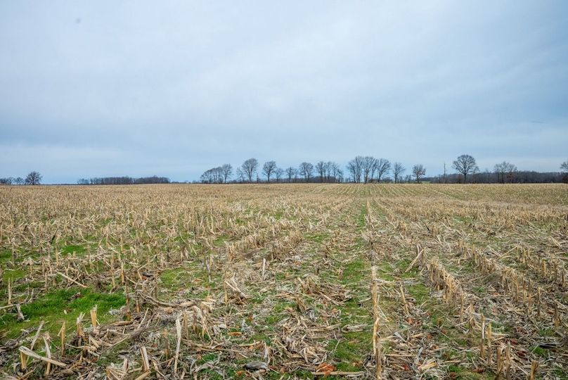 Copy of DSC00737 Large