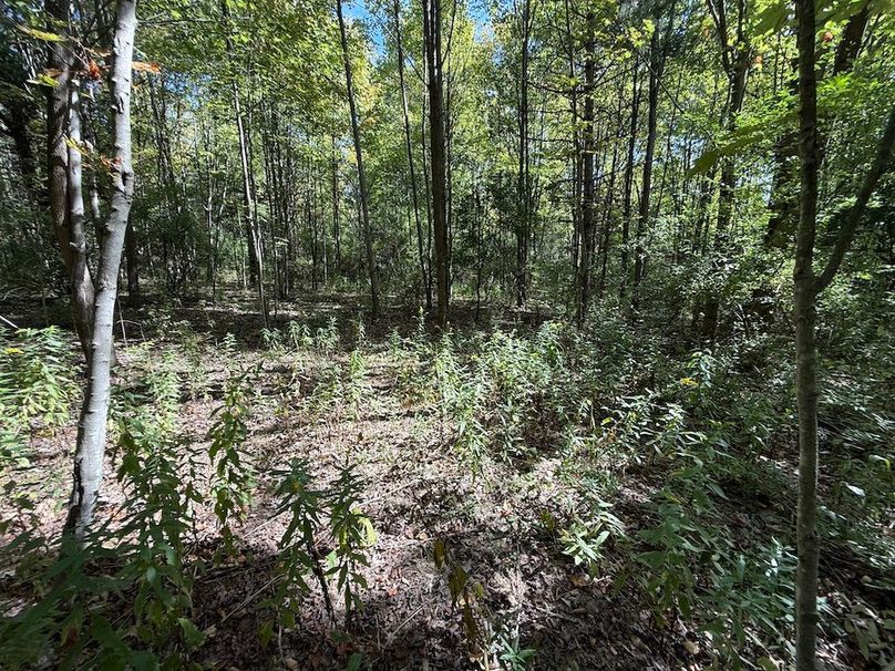 Chemung_20.82_Meyers Photo 7